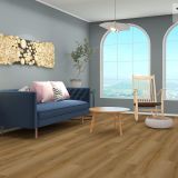 EC623 Paradise Canyon