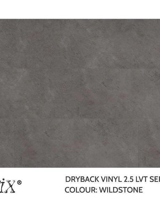 EC650-Wildstone-Top-view-Template-2025