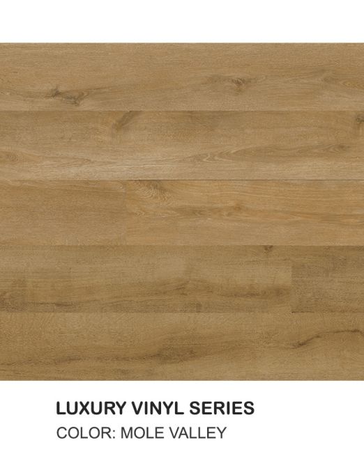 EC834-Mole-Valley-Top-view