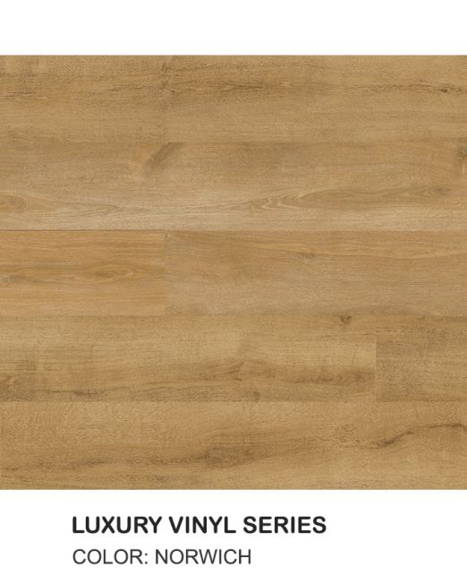 EC836-Norwich-Top-view