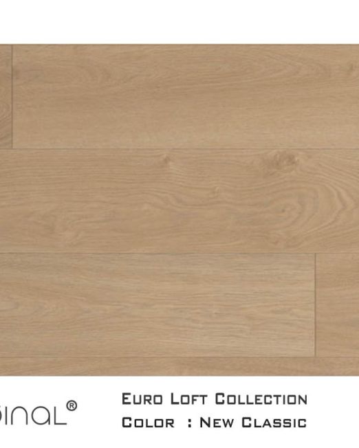 Euro-Loft-top-view-New-Classic