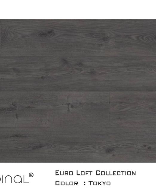 Euro-Loft-top-view-Tokyo