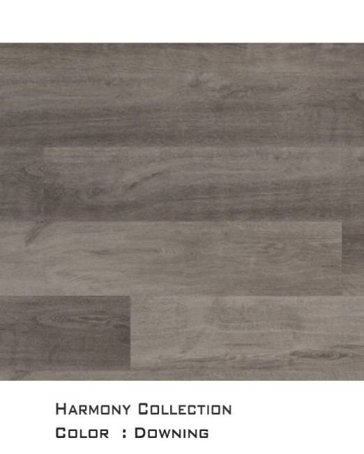 Harmony-top-view-for-web-Downing