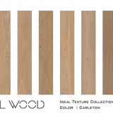 MT2247 Oak, Carleton