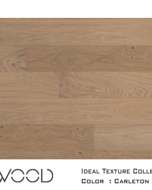 Ideal-Texture-2020-top-view-for-web-Carleton