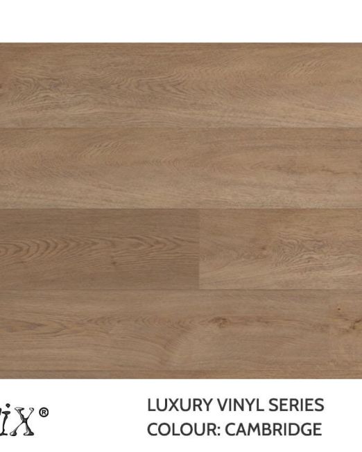 LVP-Top-view-Cambridge