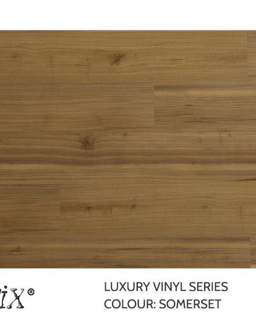 LVP-Top-view-Somerset