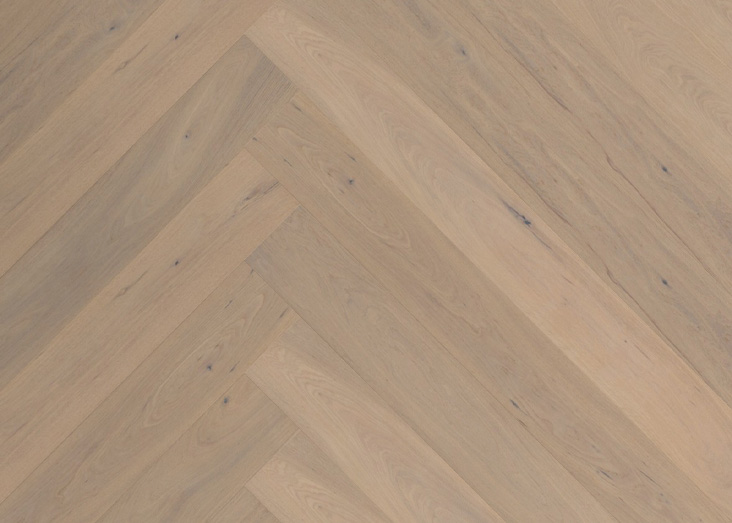 Product Code:
MTH6290


Dimension:
5