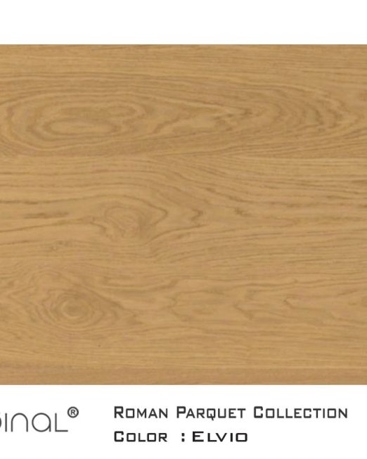 Roman-Parquet-top-view-elvio