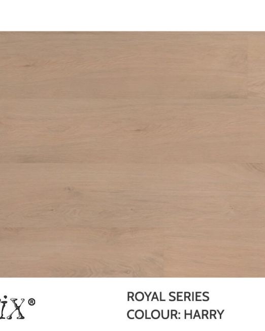 Royal-Top-view-Harry