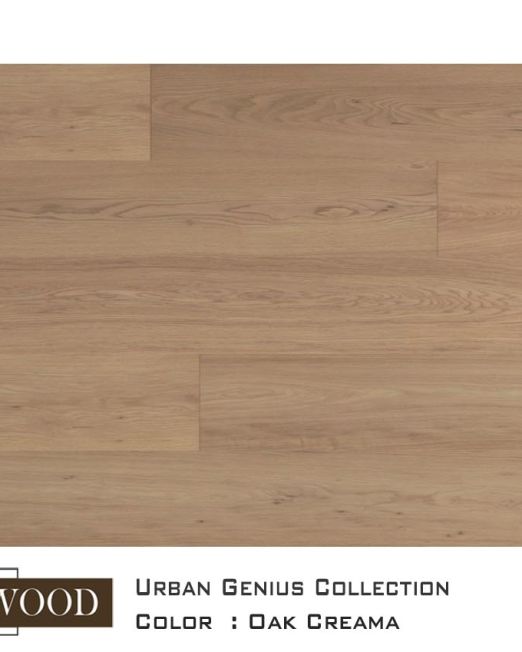 UG-top-view-22L07-Creama